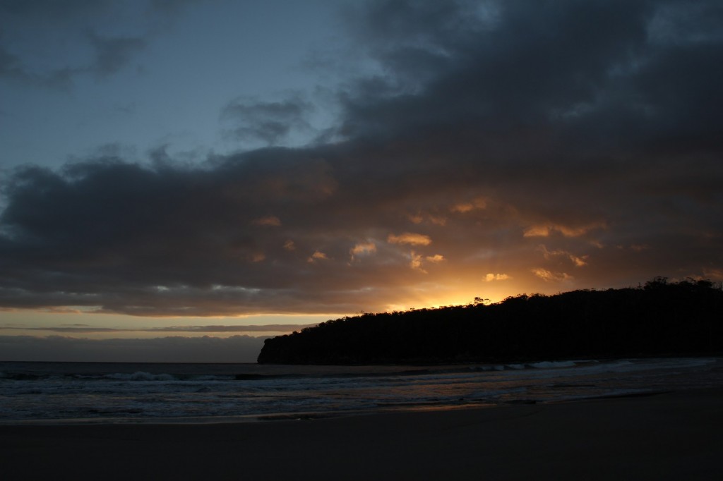 20120119.203556.IMG_2088